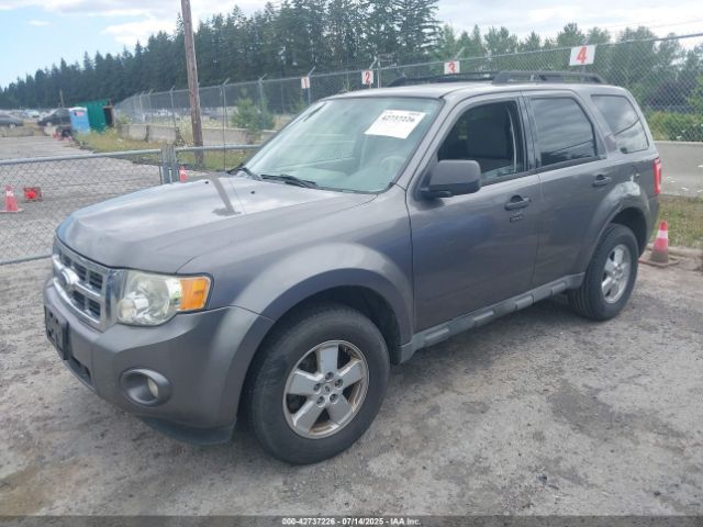 2009 FORD ESCAPE 1FMCU03709KC41225 Photo 1