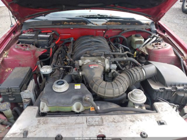 2005 FORD MUSTANG 1ZVFT82H355124175 Photo 9