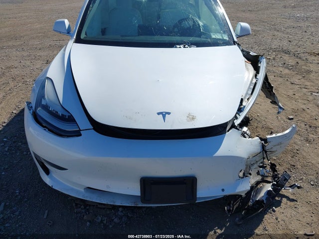 Tesla 2019 2019 5YJ3E1EB2KF421429 Image 11