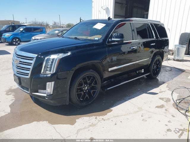 2017 CADILLAC ESCALADE 1GYS4DKJ9HR290766 Photo 1