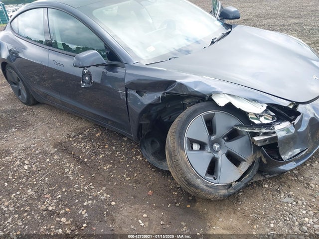 Tesla 2023 2023 5YJ3E1EA3PF619774 Image 6