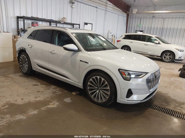 2019 AUDI E-TRON WA1VABGE4KB022942 Photo 0