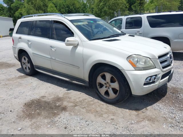 2010 MERCEDES-BENZ GL 450 4JGBF7BE0AA564019
