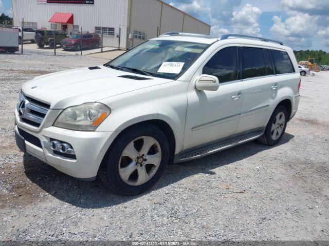 2010 MERCEDES-BENZ GL 450 4JGBF7BE0AA564019 Photo 1