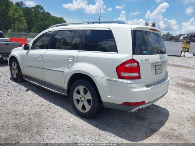 2010 MERCEDES-BENZ GL 450 4JGBF7BE0AA564019 Photo 2