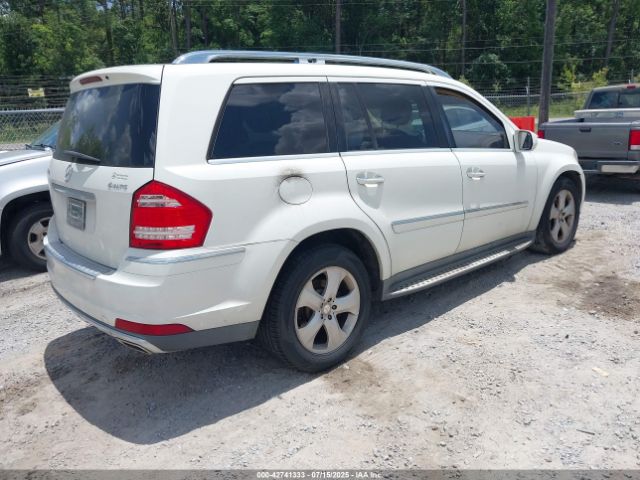 2010 MERCEDES-BENZ GL 450 4JGBF7BE0AA564019 Photo 3