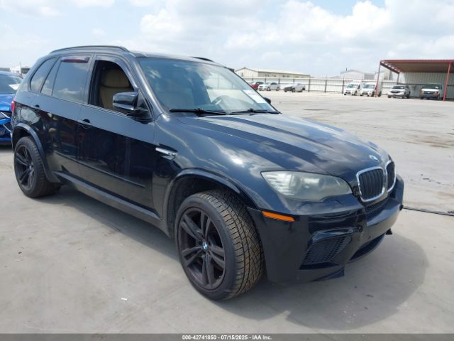 2010 BMW X5 M 5YMGY0C51ALK25937