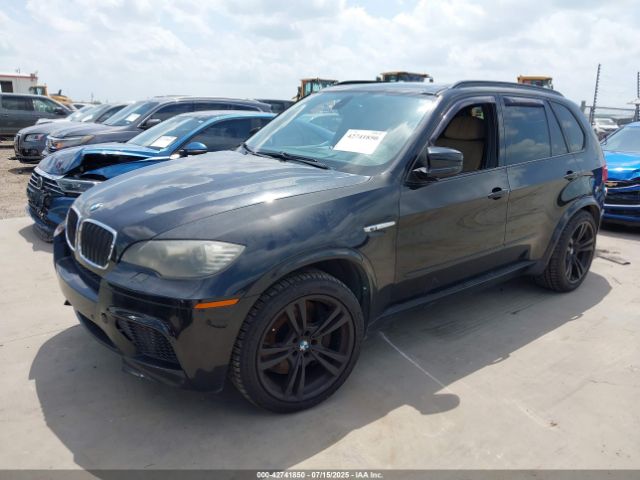 2010 BMW X5 M 5YMGY0C51ALK25937 Photo 1