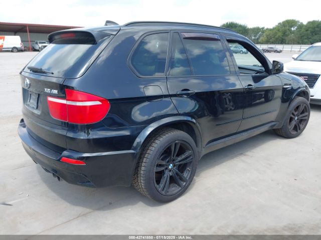 2010 BMW X5 M 5YMGY0C51ALK25937 Photo 3