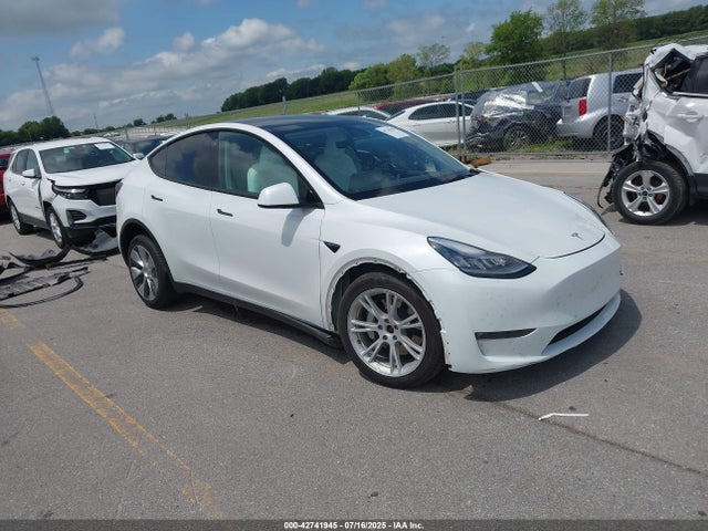2021 TESLA MODEL Y 5YJYGDEE4MF300934 Photo 0