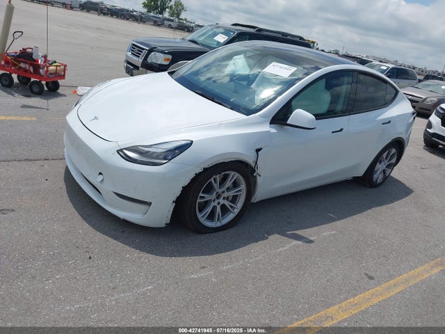 2021 TESLA MODEL Y 5YJYGDEE4MF300934 Photo 1