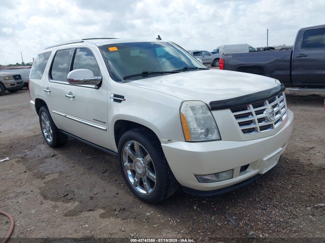 2010 CADILLAC ESCALADE 1GYUKCEF5AR161736 Photo 0