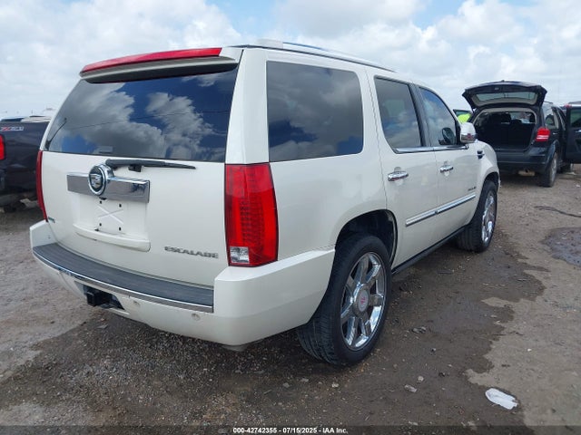 2010 CADILLAC ESCALADE 1GYUKCEF5AR161736 Photo 3