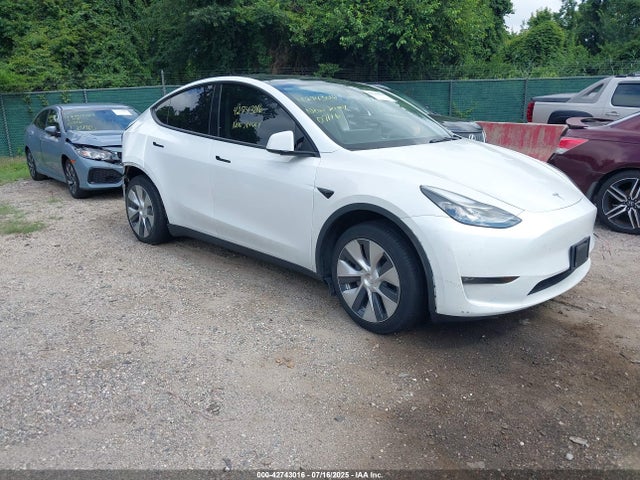 2023 TESLA MODEL Y 7SAYGDEE6PF620991 Photo 0