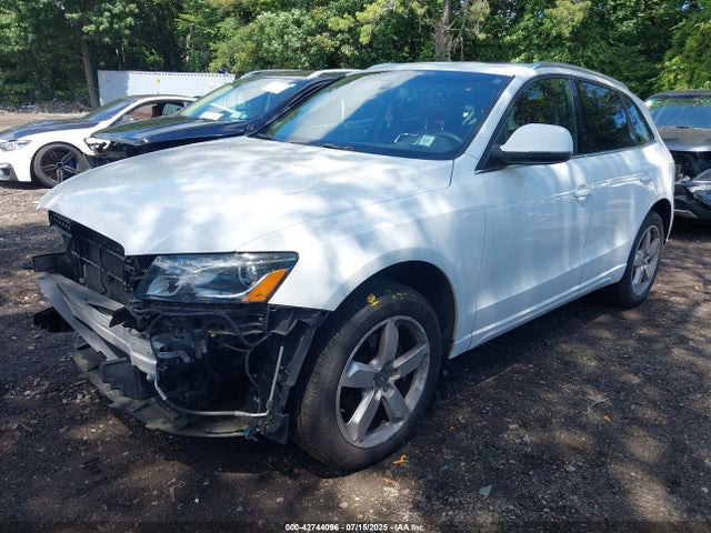 2010 AUDI Q5 WA1LKAFP4AA113036 Photo 1