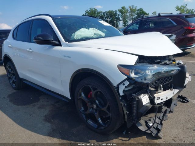 2024 ALFA ROMEO STELVIO ZASPAKBNXR7D80041