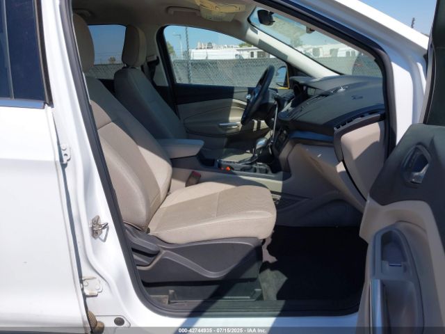 2019 FORD ESCAPE 1FMCU0GDXKUC36933 Photo 4