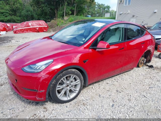 2023 TESLA MODEL Y 7SAYGDEE3PF616185 Photo 1