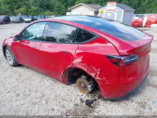 2023 TESLA MODEL Y 7SAYGDEE3PF616185 Photo 2