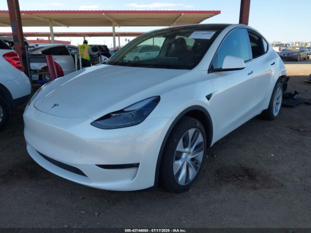 2024 TESLA MODEL Y 7SAYGDEE2RA290122 Photo 1