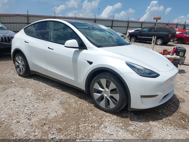 2021 TESLA MODEL Y 5YJYGDEEXMF096687 Photo 0