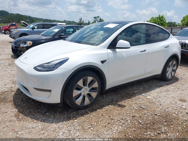 2021 TESLA MODEL Y 5YJYGDEEXMF096687 Photo 1