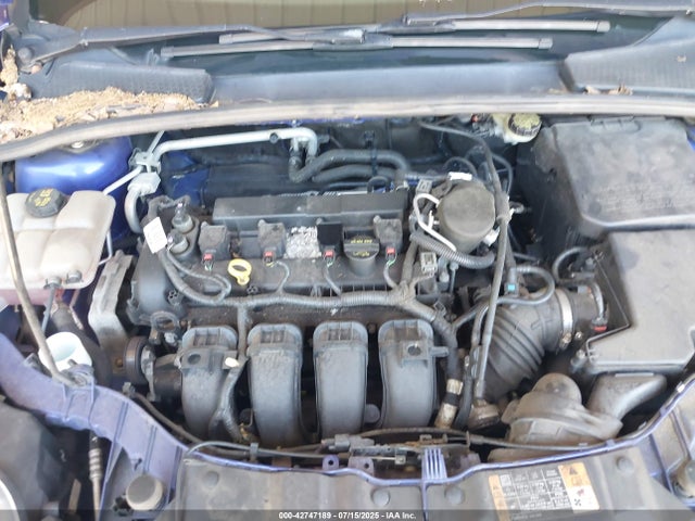 1FADP3K26EL279169 Ford Focus