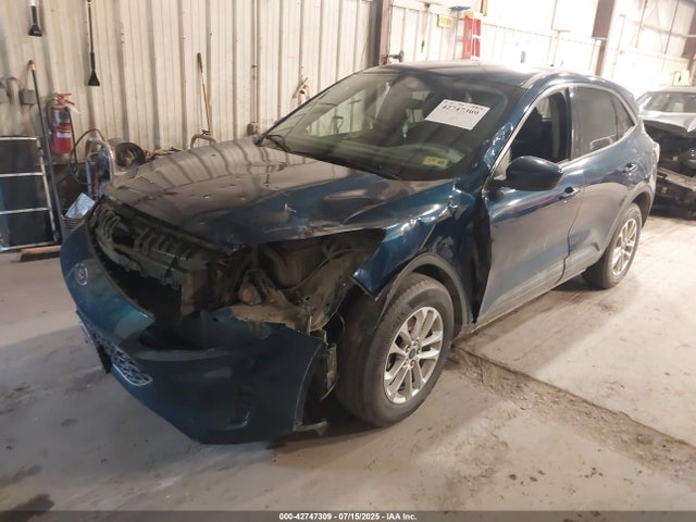 Продаж на аукціоні авто 2020 Ford Escape Se, vin: 1FMCU9G60LUA89268, номер лоту: 42747309