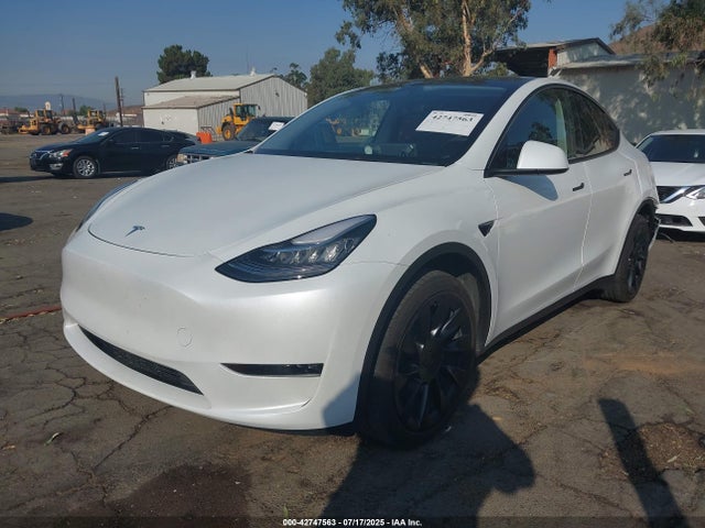 2023 TESLA MODEL Y 7SAYGDEE2PA072212 Photo 1