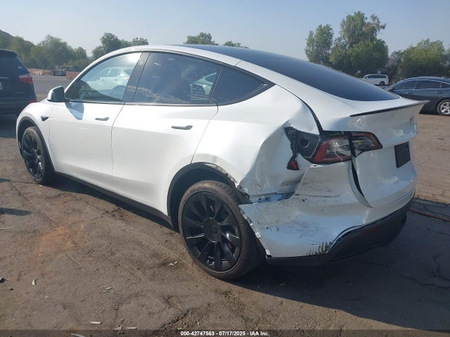 2023 TESLA MODEL Y 7SAYGDEE2PA072212 Photo 2