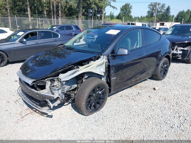 2025 TESLA MODEL Y 7SAYGDEE0SF300090 Photo 1