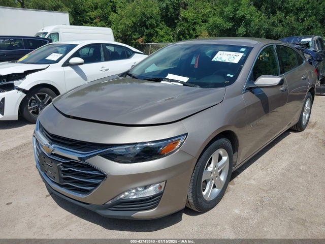 1G1ZD5ST6PF160061 Chevrolet lfv