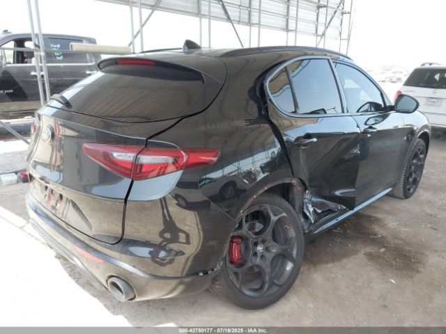 2023 ALFA ROMEO STELVIO ZASPAKBN5P7D50054 Photo 3