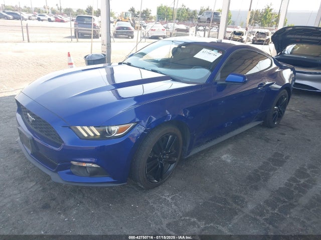 Ford 2016 2016 1FA6P8TH0G5221090 Image 2