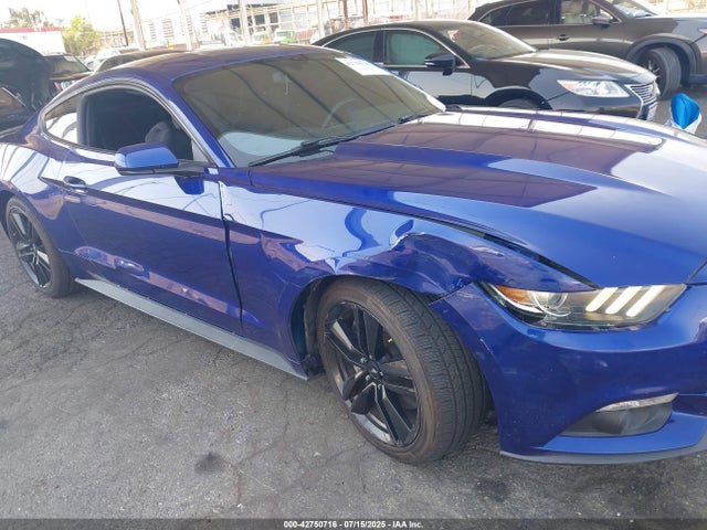 Ford 2016 2016 1FA6P8TH0G5221090 Image 6