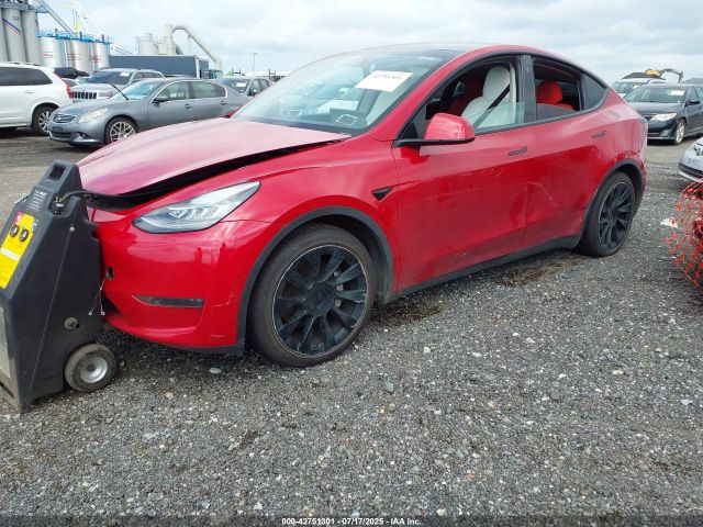 2021 TESLA MODEL Y 5YJYGDEEXMF100317 Photo 1