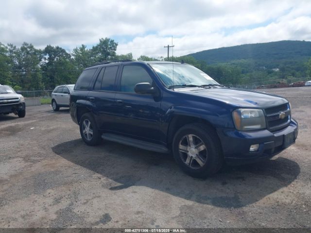 2007 CHEVROLET TRAILBLAZER 1GNDT13S072206310