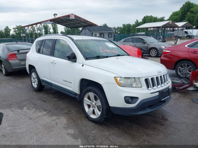 2011 JEEP COMPASS 1J4NF1FB7BD282517