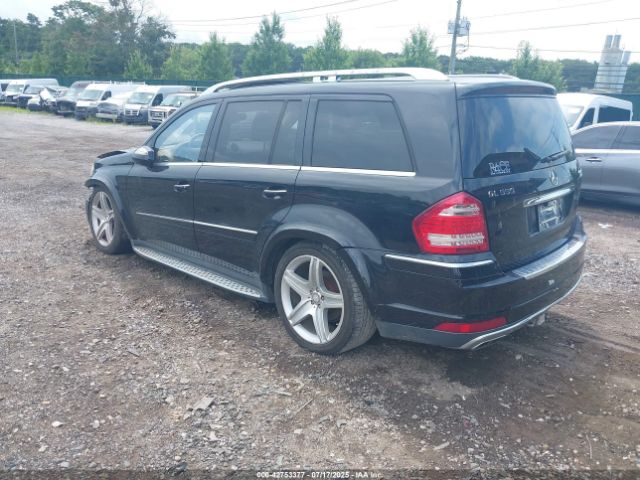 2010 MERCEDES-BENZ GL 550 4JGBF8GE4AA536013 Photo 2