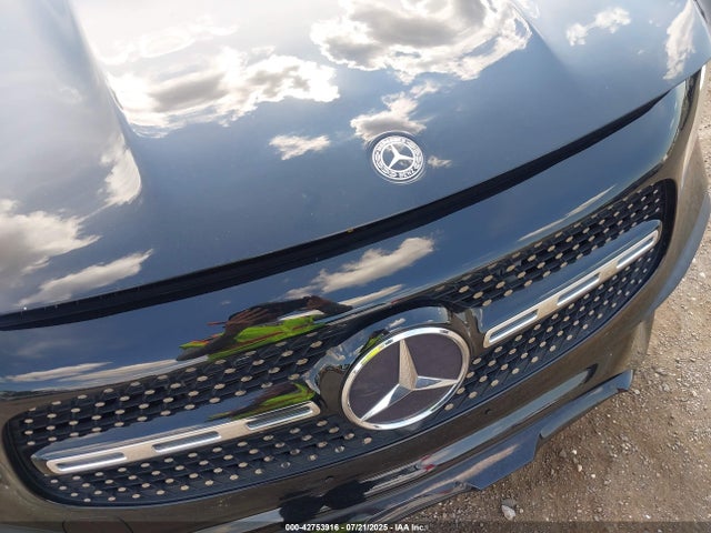 WDC4M4HB5LW011316 Mercedes-Benz m260