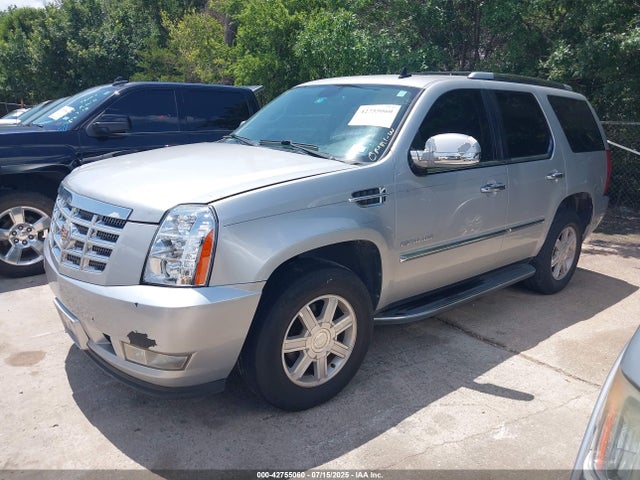 2013 CADILLAC ESCALADE 1GYS3AEF0DR219037 Photo 1