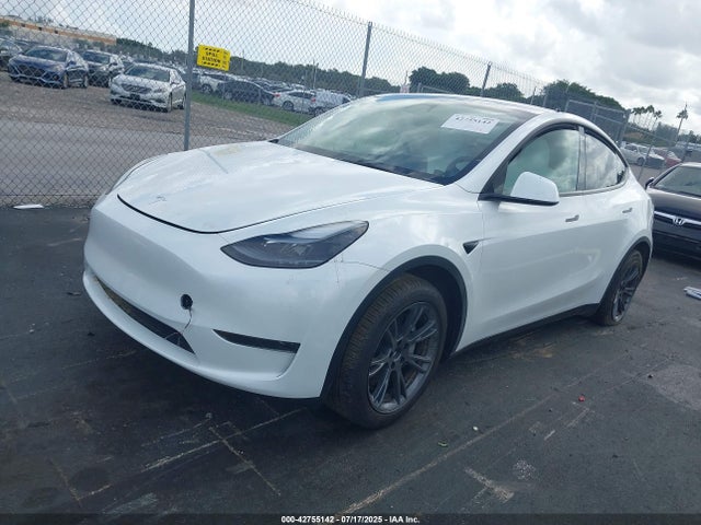 Tesla 2024 2024 7SAYGDED8RA332252 Image 2