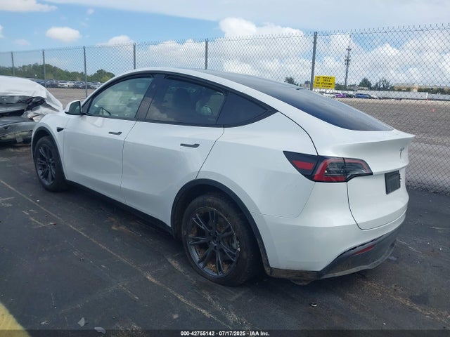 Tesla 2024 2024 7SAYGDED8RA332252 Image 3