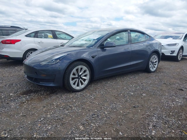 2023 TESLA MODEL 3 5YJ3E1EA3PF397897 Photo 1