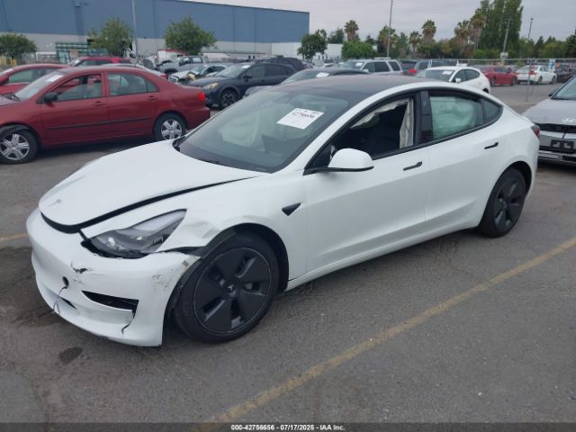 2023 TESLA MODEL 3 5YJ3E1EB3PF634557 Photo 1