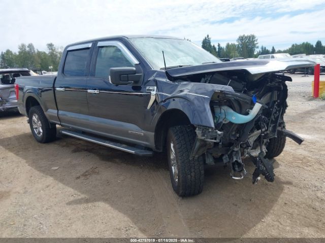2021 FORD F-150 1FTFW1ED9MFB87820
