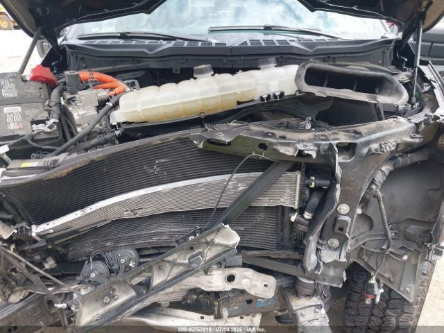2021 FORD F-150 1FTFW1ED9MFB87820 Photo 9