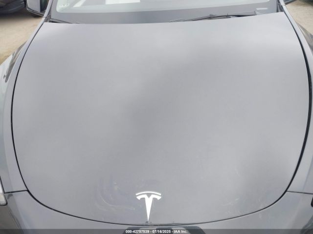 2024 TESLA MODEL Y 7SAYGDED9RF092955 Photo 9