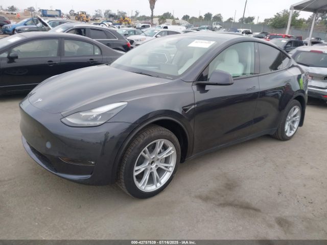 2024 TESLA MODEL Y 7SAYGDED9RF092955 Photo 1