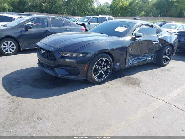 Ford 4v 2024 1FA6P8TH9R5129785 Image 2